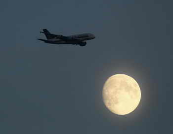 Фото: Richard Heathcote/Getty Images